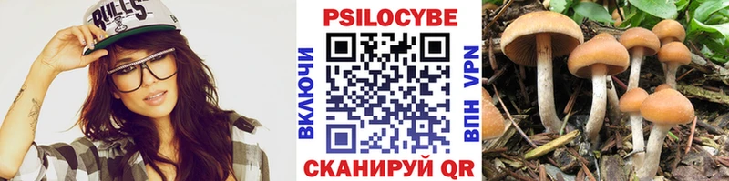 мориарти клад  Николаевск  kraken tor  Галлюциногенные грибы Psilocybe  где купить  